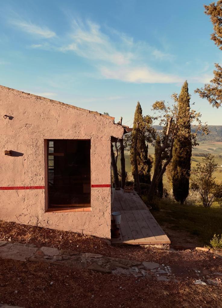 Appartement Poggio Magginga à Terricciola Extérieur photo