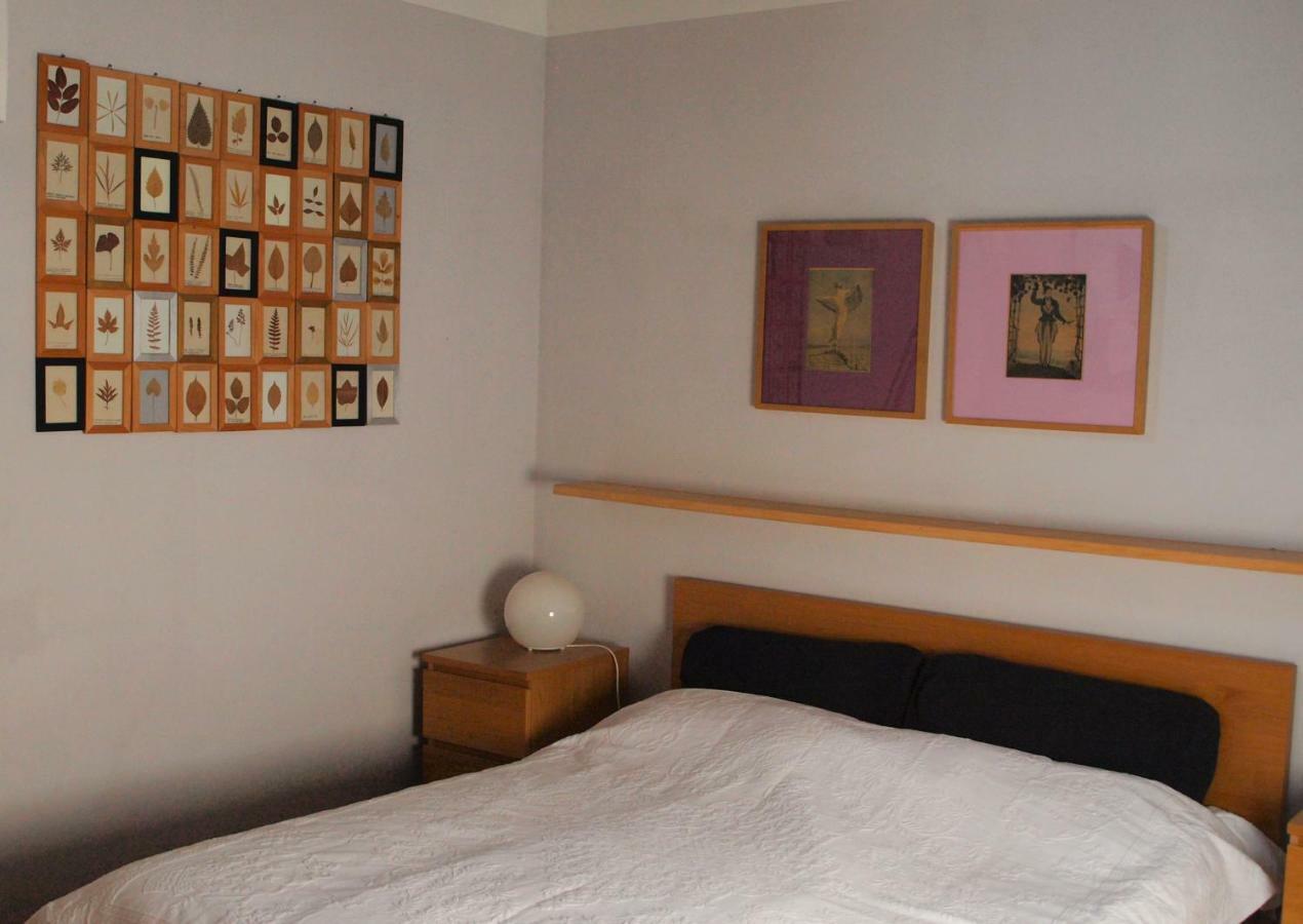 Appartement Poggio Magginga à Terricciola Extérieur photo